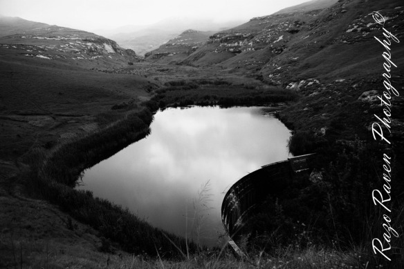 Nature - Dam Reflections